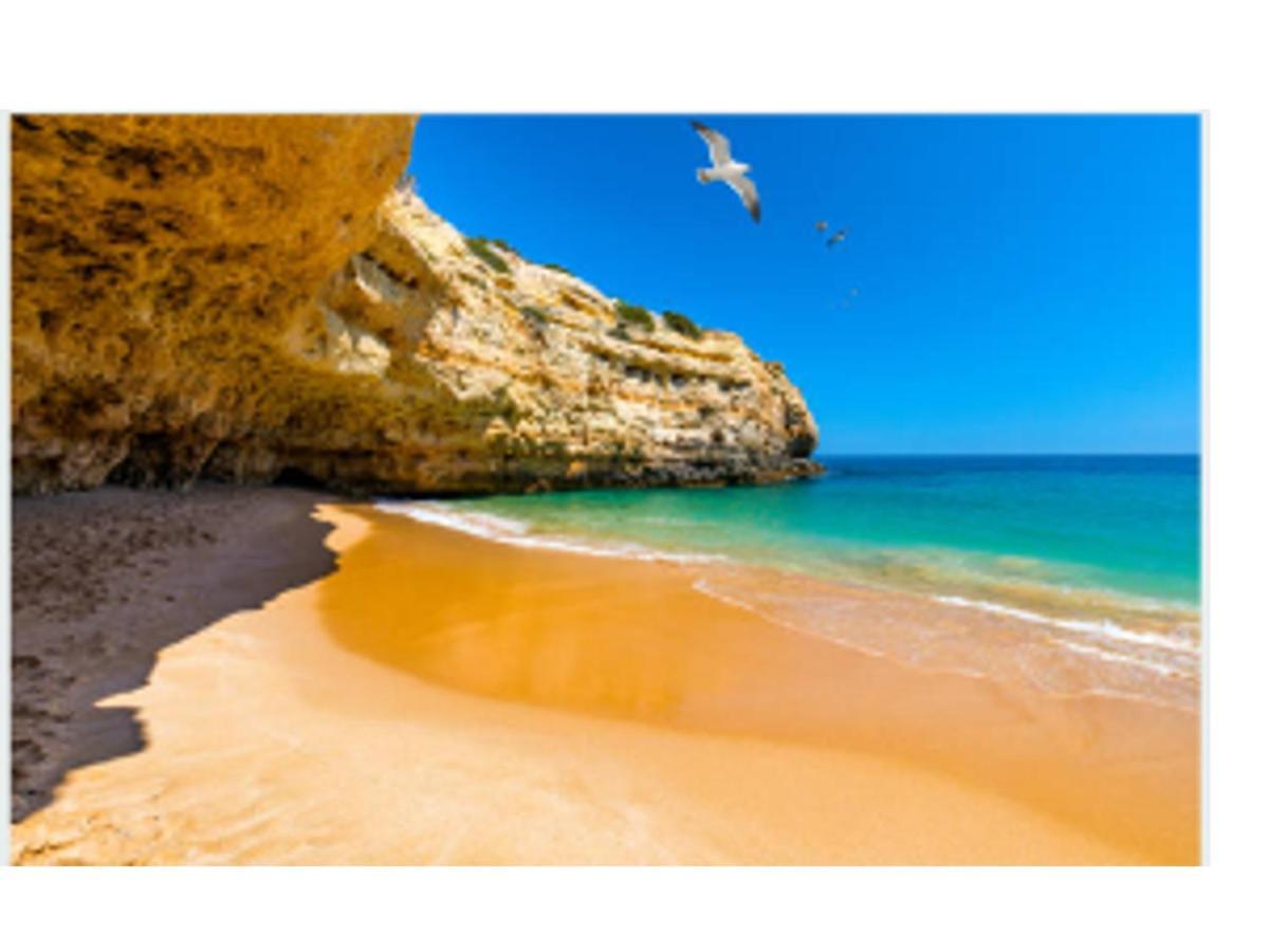 Relaxing Casa Da Vinha Carvoeiro, Algarve Holiday home *